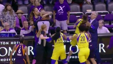 Brittney Griner Throws Massive Punches In Brawl With Dallas Wings (Video)
