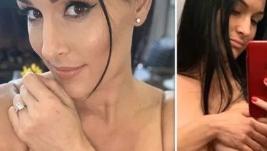 Nikki Bella Posts Topless Nude Photo To Show Off Body
