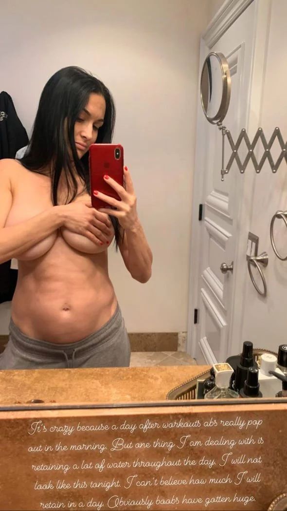 Nikki Bella Posts Topless Nude Photo To Show Off Body