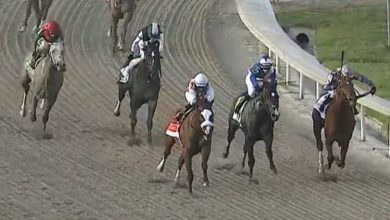 Belmont Stakes 2020 Entries: Horses, Odds, How To Watch