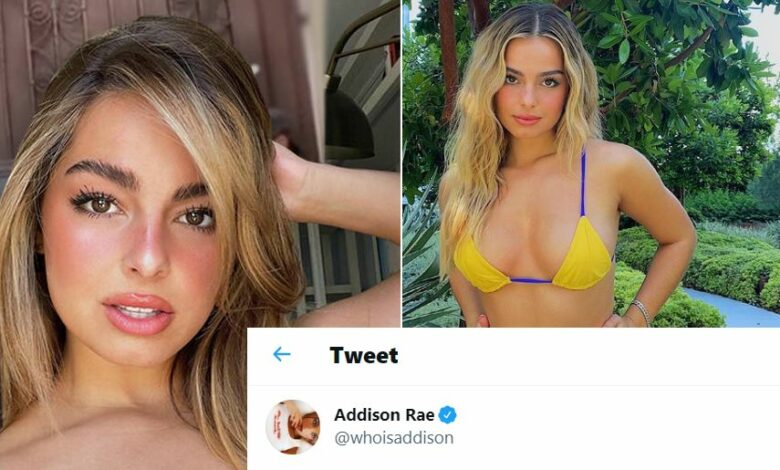 Addison Rae Sparks Outrage With UFC Tweet (Photo)