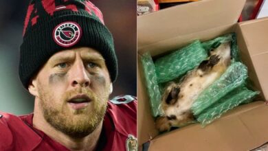 Cardinals’ J.J. Watt Receives Strange Retirement Gift From Fan