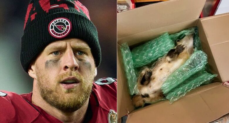 Cardinals’ J.J. Watt Receives Strange Retirement Gift From Fan
