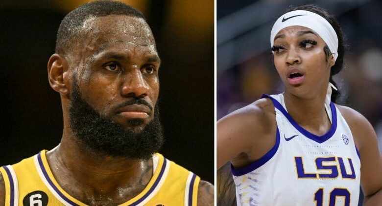 LeBron James Called Out For Trying To Dress Like Angel Reese