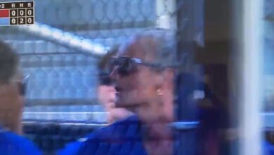 Little League Manager Assaulting Female Player Dugout: Investigation Launched