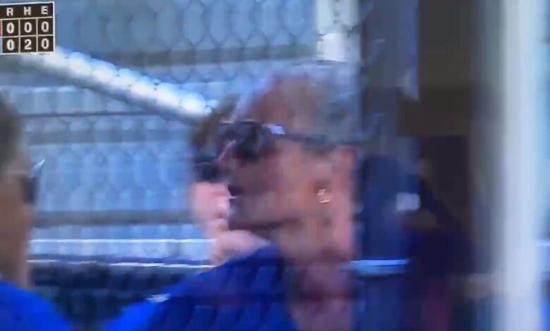 Little League Manager Assaulting Female Player Dugout: Investigation Launched