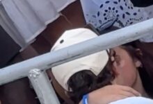 Mississippi State Fans Get Frisky At Tennessee Game