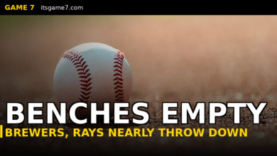 Brewers and Rays Benches Clear in Wild Brawl That Got Heated Quick