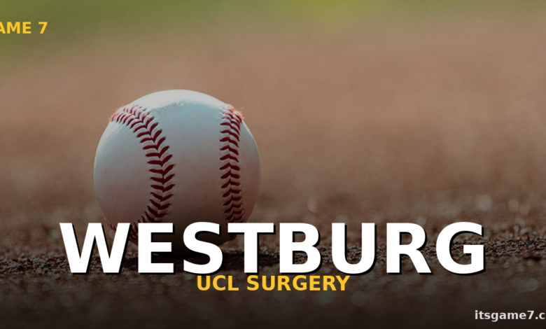 Jordan Westburg's Season Is Over: Orioles Lose Infielder to UCL Surgery 1