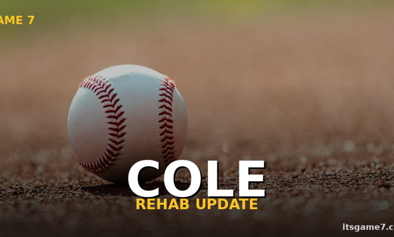 Gerrit Cole Is on His Sixth Rehab Start. The Yankees Need Him Back Yesterday 1