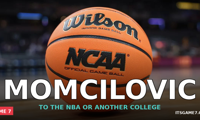 Iowa State's Milan Momcilovic Enters NBA Draft and Transfer Portal: What His Decision Says About 2026 Class 1
