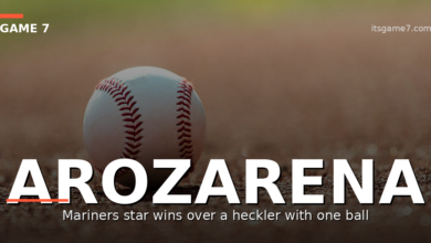 Randy Arozarena Sends a Classy Message to Heckling Tigers Fan on a Baseball 5
