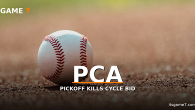 Pete Crow-Armstrong's Boneheaded Mistake Spoiled a Cycle and Killed the Cubs 1