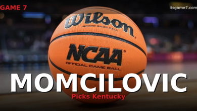 Kentucky Lands Milan Momcilovic In Transfer Portal: Wildcats Add Iowa State Sharpshooter 4