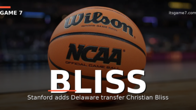 Stanford Lands Christian Bliss as Delaware Guard Becomes Top Transfer Portal Get 1