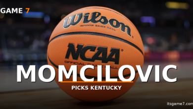 Milan Momcilovic Picks Kentucky After Leading the Nation in 3-Point Shooting 7