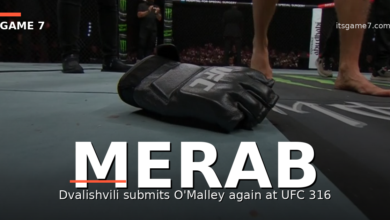 Merab Dvalishvili Crushes Sean O'Malley in Rematch to Defend UFC Bantamweight Title 4