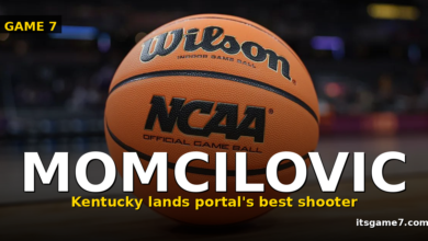 Milan Momcilovic Picks Kentucky: How the Wildcats Just Landed the Portal's Best Shooter 1