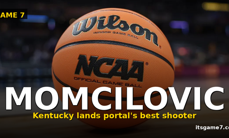 Milan Momcilovic Picks Kentucky: How the Wildcats Just Landed the Portal's Best Shooter 1