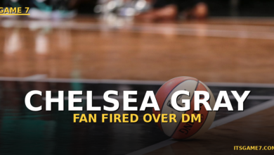 WNBA Fan Fired From Job Over Alleged Racist DM Sent to Chelsea Gray 7