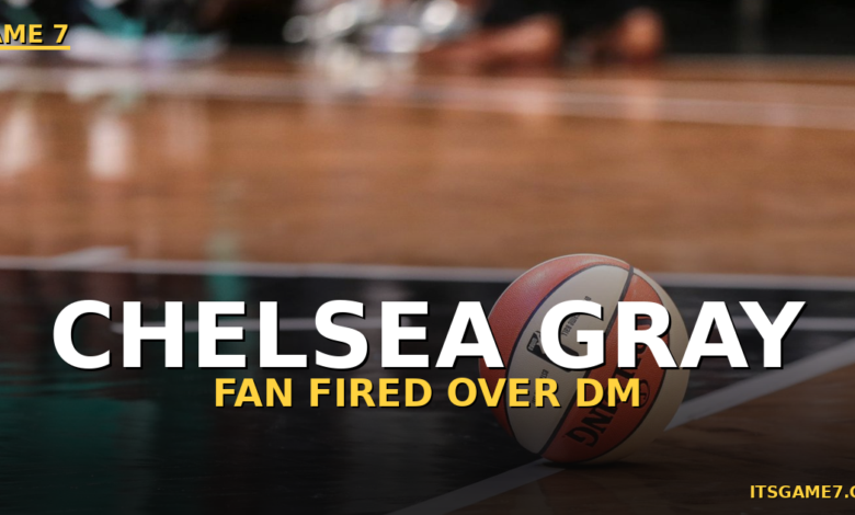 WNBA Fan Fired From Job Over Alleged Racist DM Sent to Chelsea Gray 1
