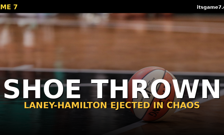 Betnijah Laney-Hamilton Ejected for Throwing a Shoe at Marina Mabrey in WNBA Chaos 1