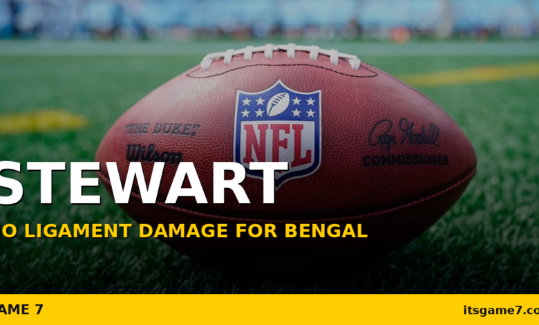 Shemar Stewart Injury Update: Bengals Get Good News on Hyperextended Knee 1