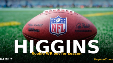 Jayden Higgins Torn ACL: Texans Rookie Wideout Lost for the Season