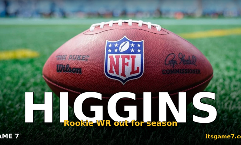 Jayden Higgins Torn ACL: Texans Rookie Wideout Lost for the Season
