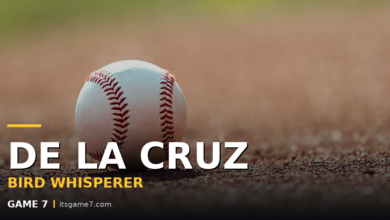 Elly De La Cruz Rescued an Injured Bird, Then Drove In Four Runs