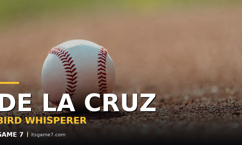 Elly De La Cruz Rescued an Injured Bird, Then Drove In Four Runs