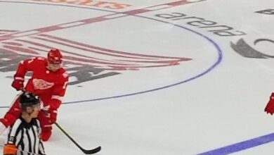 Dylan Larkin of the Detroit Red Wings on the ice