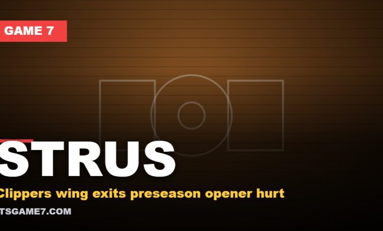 Max Strus Leaves Clippers Preseason Game With Foot Injury